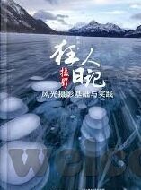 成人视频网站视频-成人视频网站，网络文化中的一面镜鉴