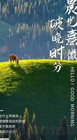 成人糖心vlog2021-成人糖心vlog2021，独特视角下的生活片段