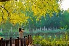 大象文化传媒有限公司-大象文化传媒有限公司，创新与传承并驱的传媒先锋