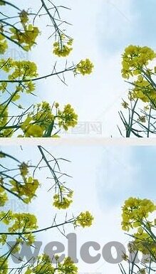 久久精品熟女亚洲av麻豆女痛-唯有情深，方显真我——久久精品熟女，寻找内心的那份纯粹