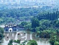 麻豆传媒app下-麻豆传媒app幕后，探寻网络双刃剑的真相