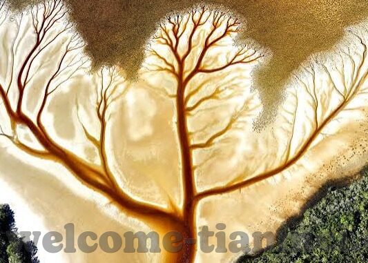 www国产精品人妻-探索国产精品人妻的魅力与价值