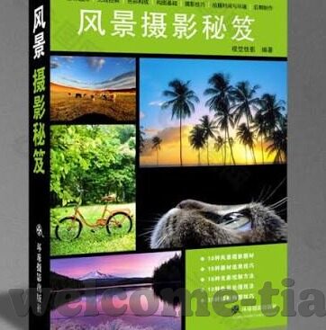 亚洲成人在线视频播放-亚洲成人在线视频播放，文化、社会与法律视角的深度探讨
