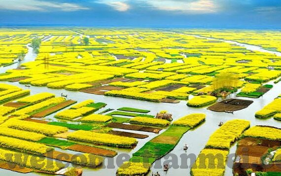 在线观看国产一区二区三区-探索网络视频平台的多元化选择，国产一区、二区、三区的在线观看体验